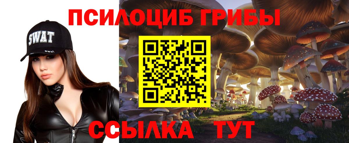 Галлюциногенные грибы ЛСД  Вход с VPN  где купить наркотик  Зима 
