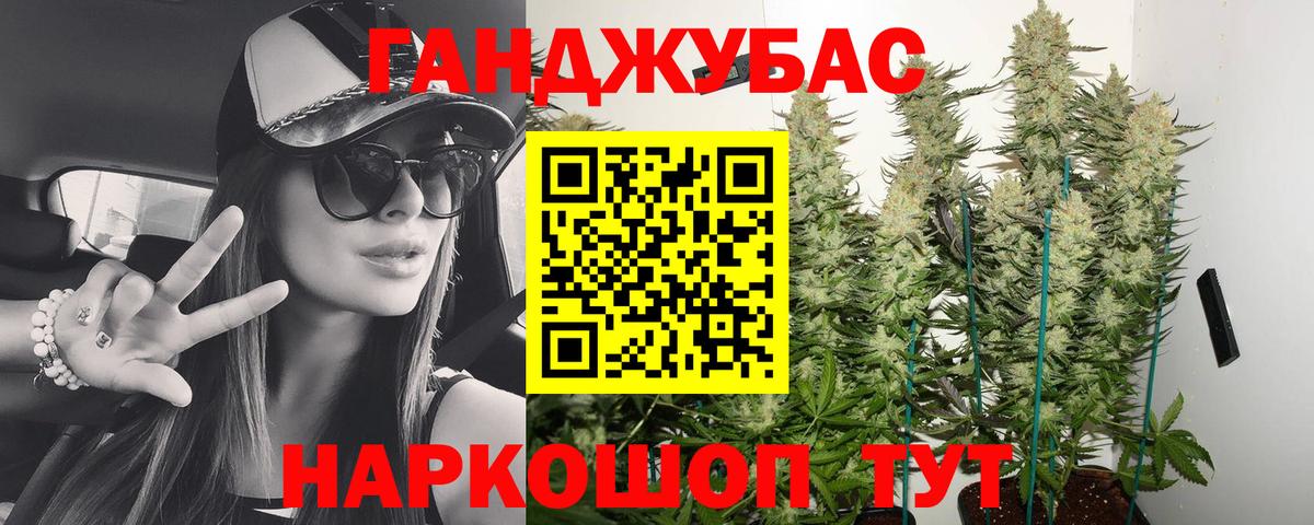 Конопля гибрид Зима